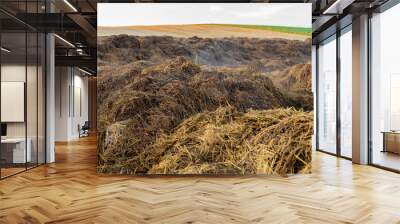 A close-up view of a pile of manure in a field. The manure is a mixture of straw and animal waste. The pile is large and sits in a field with a distant view of other farm fields Wall mural