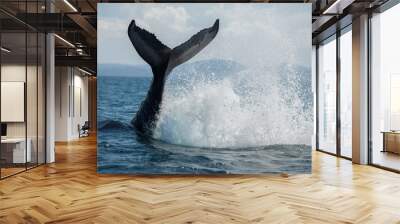 The humpback whale photographed in the waters of Samana peninsula, Dominican Republic Wall mural