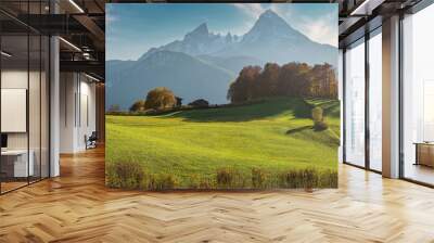 Scenic image of European Alps. Panoramic view of mountain scenery in the Alps with fresh green meadows and majestic rocky mount on background. National Park Berchtesgadener Land, Bavaria, Germany Wall mural