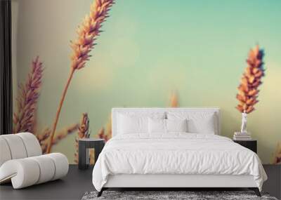 Wheat field. full of ripe grains, golden ears of wheat or rye close up Wall mural