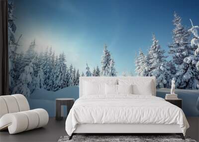 Wonderful Winter Landscape. Awesome Alpine Highlands in Sunny Day. Christmas holyday concept. Winter mountain forest. Snowy mountains and perfect blue sky. Amazing Nature background. postcard Wall mural