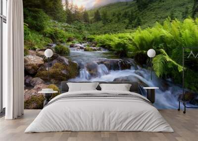 A tranquil mountain stream Wall mural