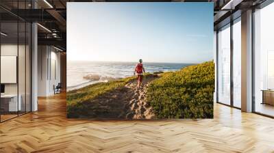 Rear view of hiker walking on coastal path Wall mural