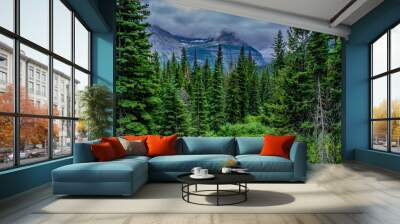 Beautiful Summer Day in Glacier National Park, Montana Wall mural