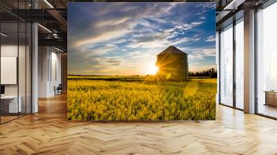 Sunset over a canola field and silo during summer on the prairie  Wall mural