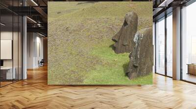 Rano Raraku. Abandoned and partially buried statues on the slopes of the extinct volcano which was the quarry from which the Moai statues of Rapa Nui (Easter Island) were carved. Wall mural