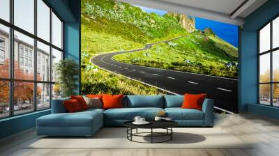 Azores landscape: Endless curvy winding road through the hills of Flores island, the Azores, Portugal. Wall mural