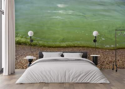 Cyanobacteria on the lake, green water, spoiled summer Wall mural