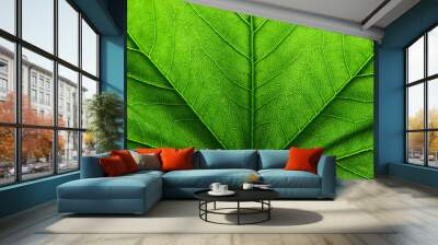 green leaf texture Wall mural