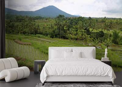 Green scenery - Jatiluwih Rice terraces, Bali, Indonesia Wall mural