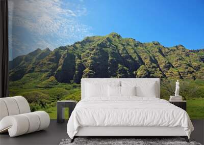 pasture of kualoa ranch - oahu, hawaii Wall mural