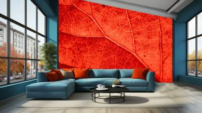 Red leaf with details. Autumn leaves in close-up. Natural background. Wall mural