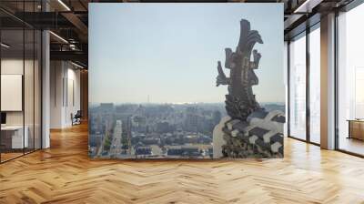 in front, a statue of a dragon-fish of a japanese castle, in the background, views of the city Wall mural