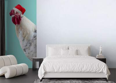 hen with christmas hat behind a white sign - copy space Wall mural