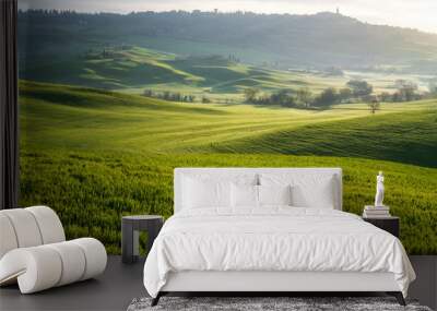 Amazing spring landscape with green rolling hills and farm houses in the heart of Tuscany in morning haze Wall mural