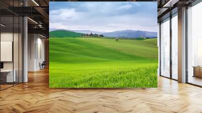 Amazing spring landscape with green rolling hills and farm houses in the heart of Tuscany in morning Wall mural