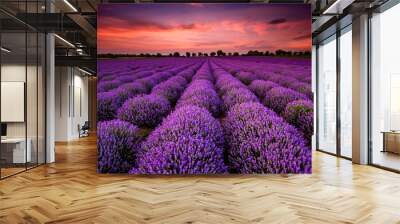 stunning landscape with lavender field at sunset Wall mural