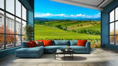 Abruzzo Vineyards Wall mural