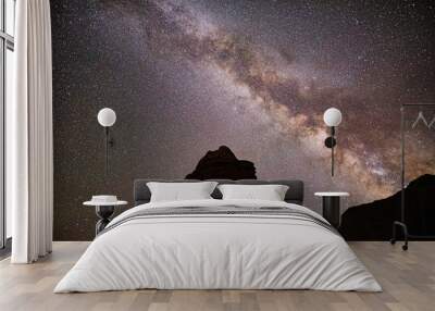 Milky Way Silhouette at Goblin Valley Wall mural