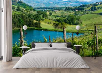 Vineyards in Abruzzo Wall mural