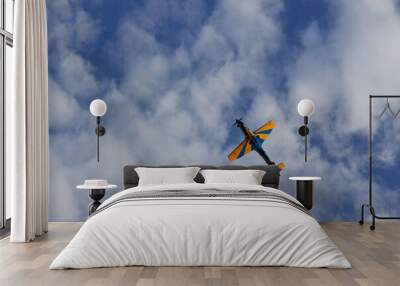 airplane in the sky Wall mural