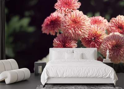 close up of pink chrysanthemum in autumn Wall mural