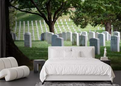 Heroes of war gravestones at Arlington National Cemetery. Wall mural