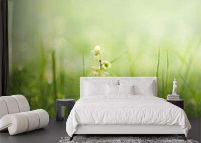 Growing plant fresh green summer background Wall mural