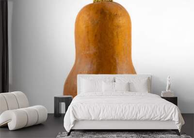 Close up photo of a honey nut squash standing up Wall mural