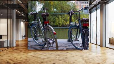 Two classic comfort bikes parked in the street with a defocused background of a river and trees Wall mural