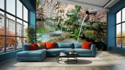 Fountain Wall mural