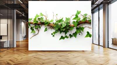 vine plant jungle climbing isolated on white background Wall mural