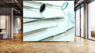 Dentist equipment: kornzange or forceps, two dental mirrors, cement spatula, explorer. Dental tools on white surface, closeup. Wall mural