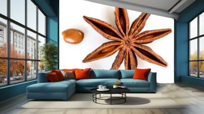 Star anise. Single star anise fruit with two seeds. Macro close up Isolated on white square background with shadow, top view of chinese badiane spice or Illicium verum. Wall mural