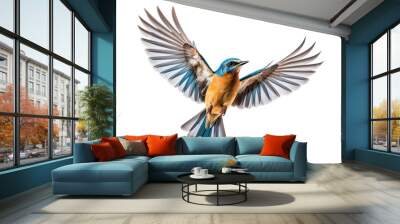 a beautiful bird flying full body on a white background studio shot isolated PNG Wall mural