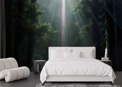 A cross with rays shining on it, in the dark forest filled with pine trees, a realistic depiction of light Wall mural