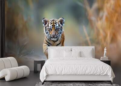 baby Tiger, Professional photo, wildlife tele shot style, blur background Wall mural