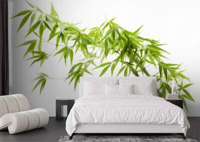 Bamboo, white isolated background. professional photography PNG Wall mural