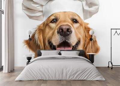 Cute dog Golden retriever Chef with costume ready to cooking for dinner isolated on white background PNG Wall mural