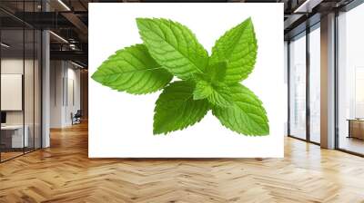 Fresh mint leafs isolated on transparent or white background PNG Wall mural