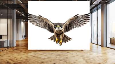 Very beautiful falcon in flight isolated on white background PNG Wall mural