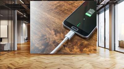 Mobile smartphone charging battery close-up Wall mural