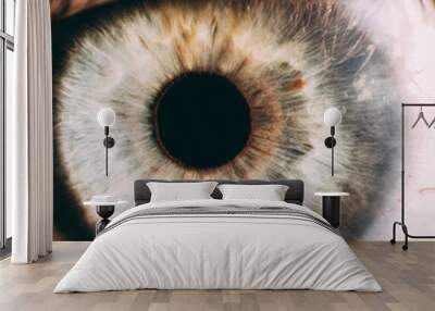 enlarged image of an eye iris made with a slit lamp Wall mural