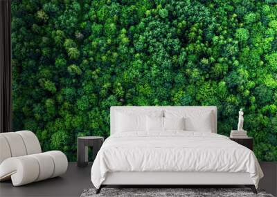 Top view of the area green forest. Nature texture Wall mural