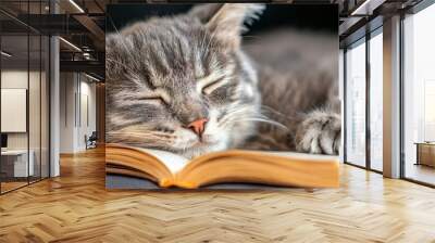  A cat napping on a couch, eyes closed, with a book placed before it Wall mural