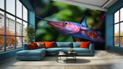  A close-up of a fish swimming in a tank, surrounded by plants in the background Wall mural