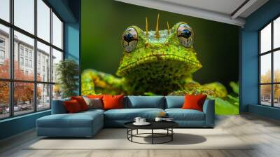  A close-up of a green frog atop a lush, green leafy plant, adorned with dewdrops on its eyes Wall mural