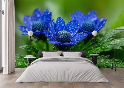  A cluster of blue blooms atop a verdant, wet plant under the sun Wall mural