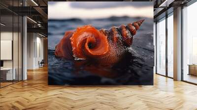  A floating orange object atop a body of water with a cloudy sky backdrop Wall mural