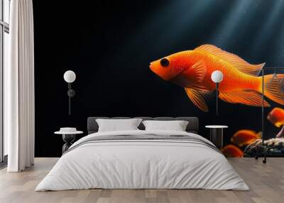  A goldfish swims in an aquarium, foreground filled with corals, background bathed in sunbeams Wall mural